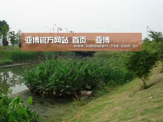 案例展示四(图1)