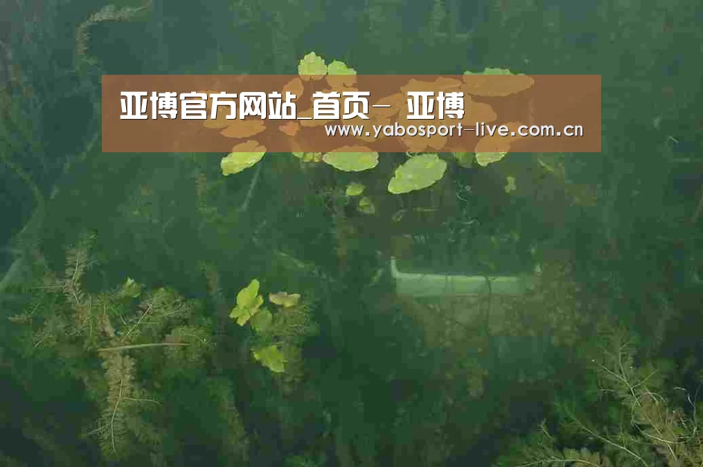 案例展示三(图1)