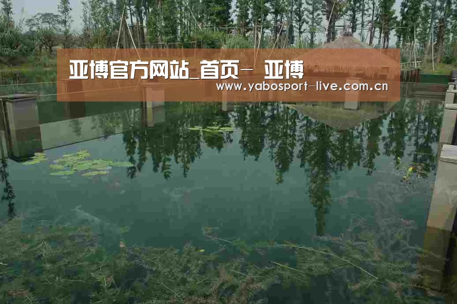 案例展示二(图1)