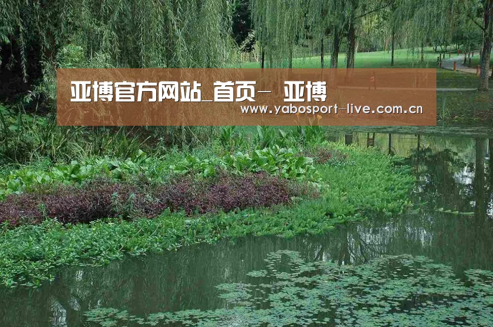 案例展示一(图1)