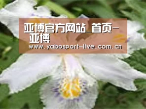 产品名称二