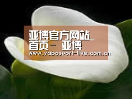产品名称七