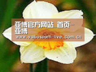 产品名称四