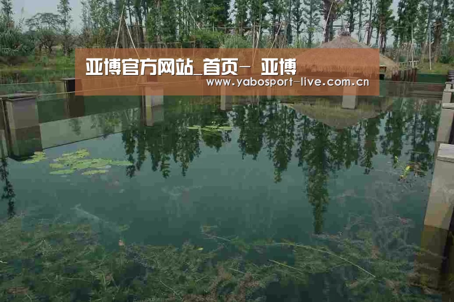 案例展示二