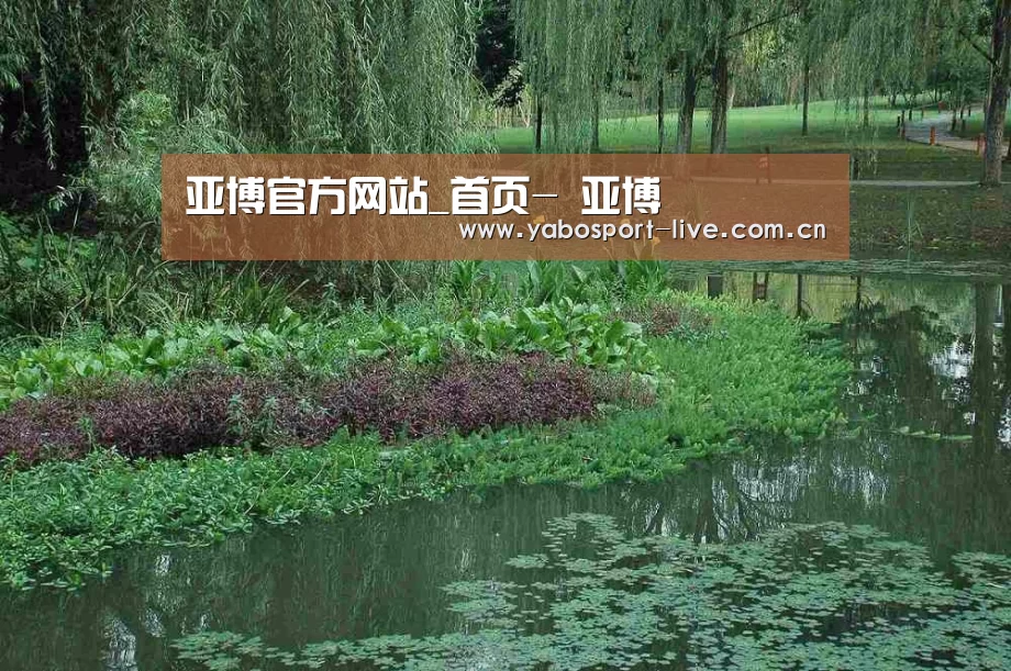 案例展示一