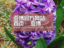 产品名称八
