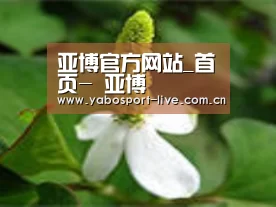 产品名称三