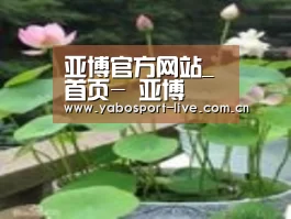 产品名称一