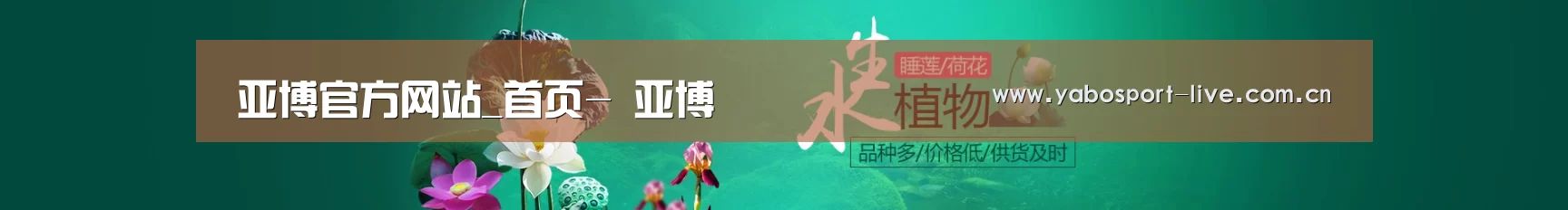 鲜花水草花卉网站模板
