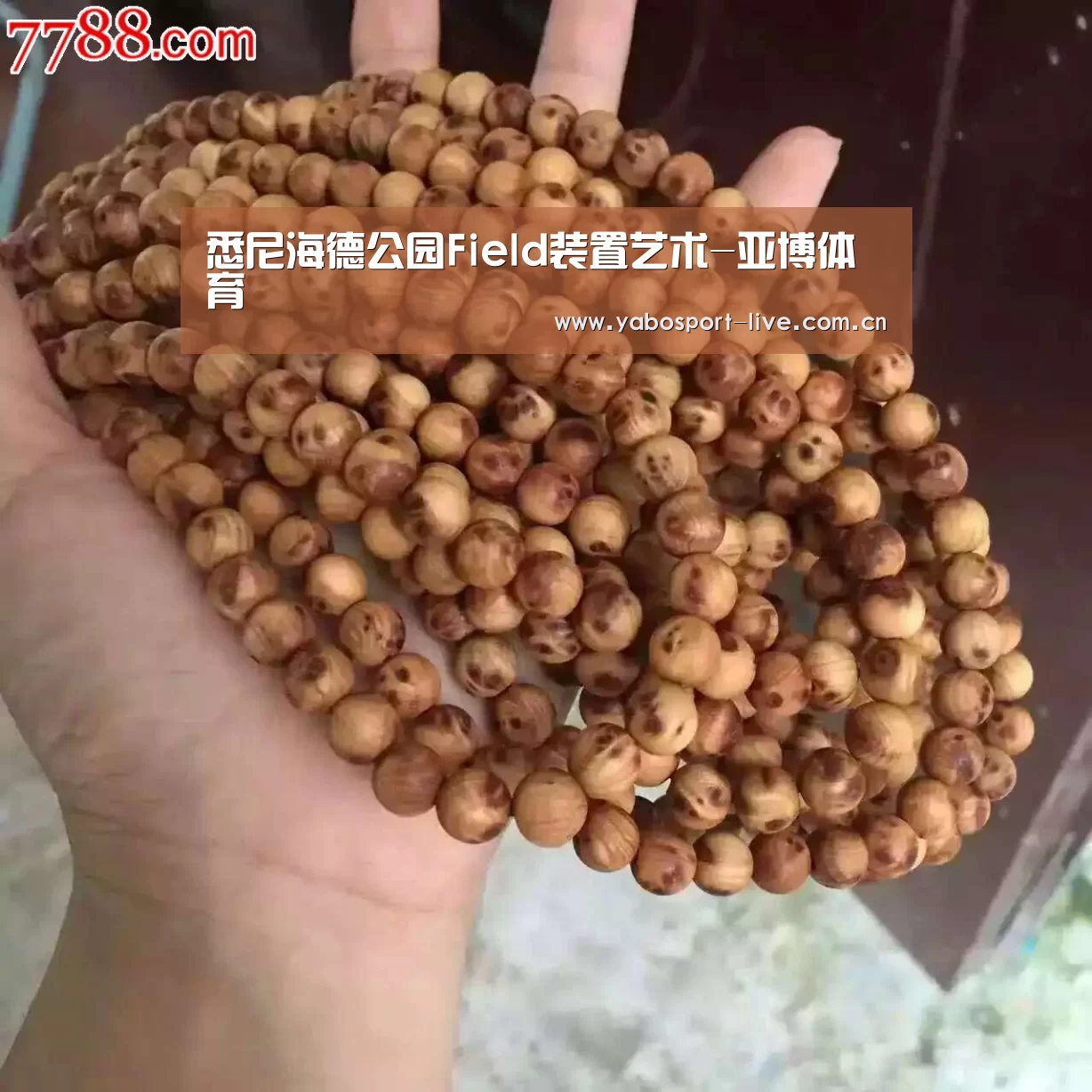 悉尼海德公园Field装置艺术-亚博体育(图2) 亚博