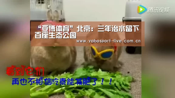 “亚博体育”北京:三年治水留下百座生态公园(图2) 亚博网站