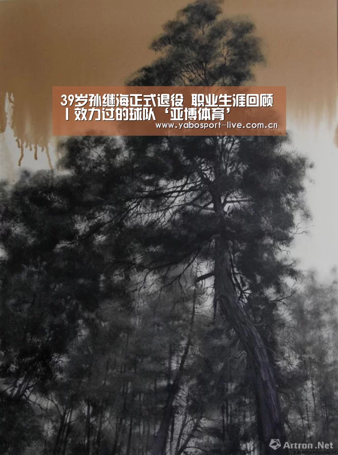 39岁孙继海正式退役 职业生涯回顾丨效力过的球队‘亚博体育’(图2) 亚博