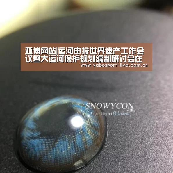 亚博网站|运河申报世界遗产工作会议暨大运河保护规划编制研讨会在江苏召开(图2) 亚博官网