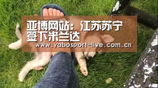 亚博网站:江苏苏宁签下米兰达(图2) 亚博体育