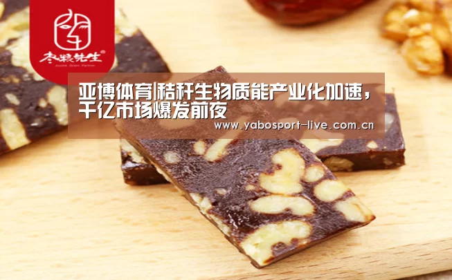 亚博体育|秸秆生物质能产业化加速,千亿市场爆发前夜(图1) 亚博官网