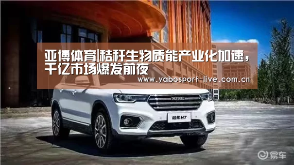 亚博体育|秸秆生物质能产业化加速,千亿市场爆发前夜(图2) 亚博官网