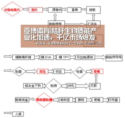 亚博体育|秸秆生物质能产业化加速,千亿市场爆发前夜(图3) 亚博体育