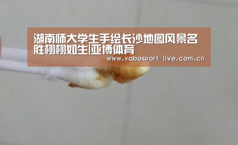 湖南师大学生手绘长沙地图风景名胜栩栩如生|亚博体育(图1) 亚博体育