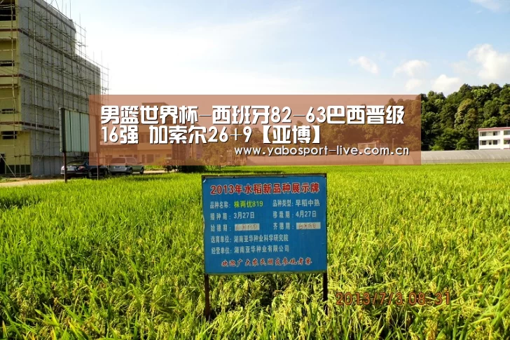 男篮世界杯-西班牙82-63巴西晋级16强 加索尔26+9【亚博】(图4) 亚博