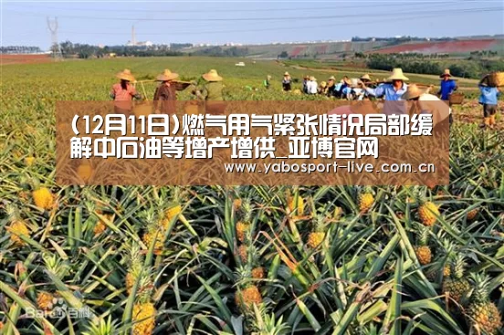 (12月11日)燃气用气紧张情况局部缓解中石油等增产增供_亚博官网(图3) 亚博网站